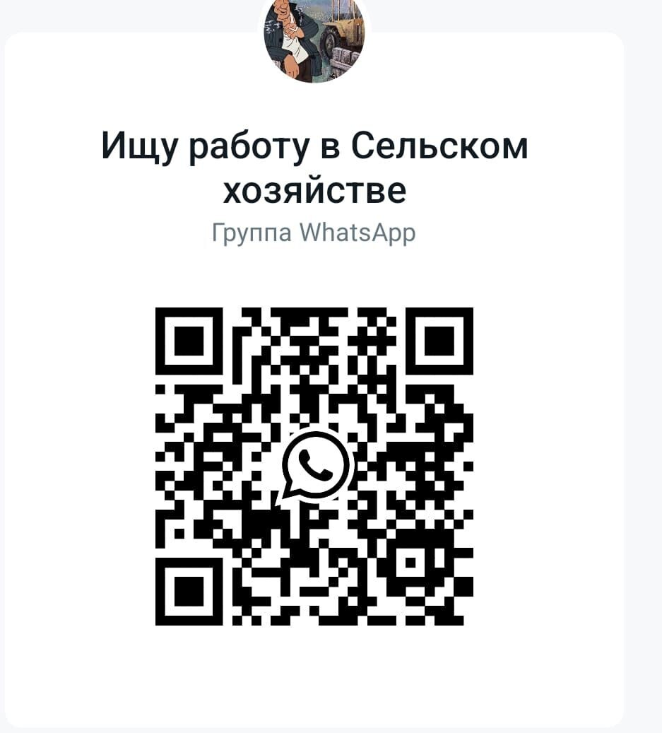 WhatsApp Image 2024-03-28 at 5.47.14 PM